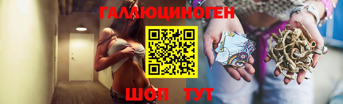 Гусев  Галлюциногенные грибы GOLDEN TEACHER  наркотики  Вход с VPN 